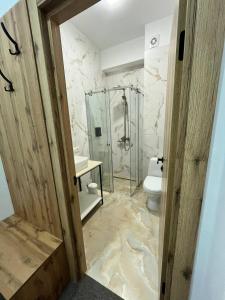 克瓦西Casa Piattino的浴室配有马桶和玻璃淋浴房