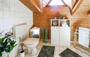 a bathroom with a toilet and a wooden wall at Ferienhaus Sepp in Regen +27 photos
