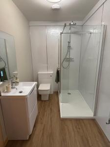 a bathroom with a shower and a toilet and a sink at Lighthouse View in Lochboisdale
