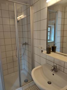 ein Badezimmer mit Dusche, Waschbecken und Spiegel in der Unterkunft Feriendomizil Hunsrück und Mosel in Berglicht + 7 Fotos