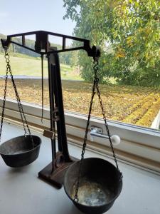 zwei Waagen sitzen neben einem Fenster mit Blick auf ein Feld in der Unterkunft Feriendomizil Hunsrück und Mosel in Berglicht