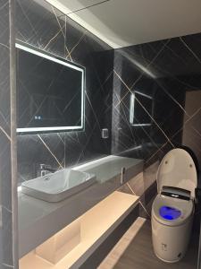 a bathroom with a toilet and a sink and a mirror at Galactic getaways JUPITER in Prestatyn +6 photos