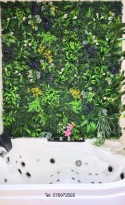 O grădină în afara Jacuzzi Katowice chill room