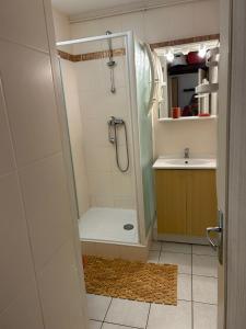 a bathroom with a shower and a sink at appartement aux pieds des pistes in Cadeilhan-Trachère