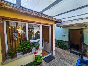 ein Schaufenster mit Topfpflanzen und einem Fenster in der Unterkunft Hotel Darling in Bankja