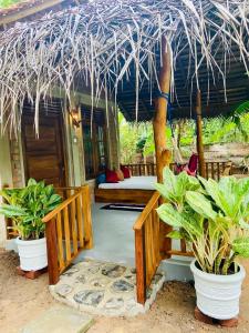 Сад в Tropical Heaven