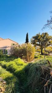 TaulignanProvençal Getaway Pool Studio Hiking的一片草地，背景是一栋房子