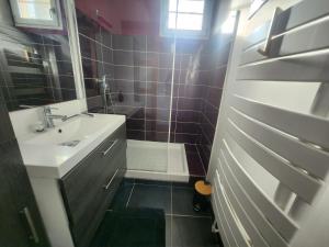 a bathroom with a sink and a toilet and a shower at Appartement Chaleureux, Jardin Privé, Centre ville in Crecy la Chapelle