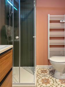 a bathroom with a shower and a toilet at Le Mexico Duplex Agréable in Lespignan +10 photos