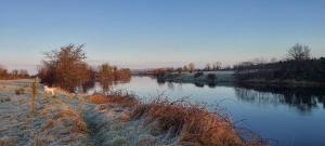 une rivière avec deux animaux se tenant sur sa rive dans l'établissement Crillaun Cottage, à Foxford