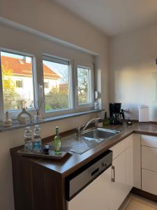 a kitchen with a sink and two windows at FeWo Im Drosselnest in Hechingen +7 photos