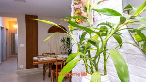 Φωτογραφία από το άλμπουμ του Apartamento no Centro de Itapua a 550m da Praia σε Vila Velha +37 φωτογραφίες