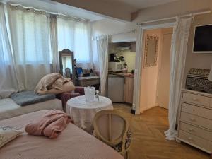 TV a/nebo společenská místnost v ubytování La Lilloise Villeneuve D'Ascq GD STADE Mauroy