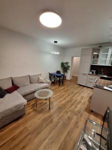 un salon avec un canapé et une table dans l'établissement Teatralna Nowoczesny Apartament Centrum Bolesławca, à Bolesławiec