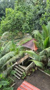 Κήπος έξω από το River Mist