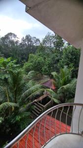 Κήπος έξω από το River Mist +7 φωτογραφίες