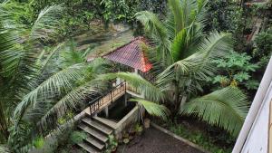 Κήπος έξω από το River Mist