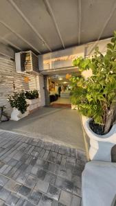 Κήπος έξω από το Pousada America do Sol