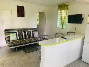 TV a/nebo společenská místnost v ubytování Le coin vertico