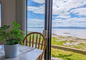 une table avec une plante en pot posée à côté d'une fenêtre dans l'établissement Chalet Studio #6 Waterfront with Spa Fireplace & Wifi, à Cap-Saint-Ignace