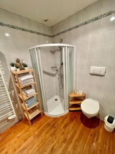 Koupelna v ubytování Appartement 6 personnes à La Gaubretière en face du Château