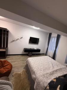 ein Schlafzimmer mit einem Bett und einem Flachbildfernseher in der Unterkunft Carul cu Flori in Craiova