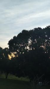 un grupo de árboles con la puesta de sol detrás de ellos en Hotel Kaeru, en Avaré