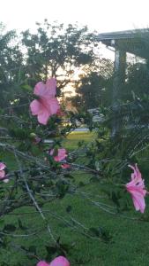 Zahrada ubytování Hotel Kaeru