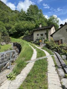 Příroda nedaleko prázdninového domu + 31 fotografií