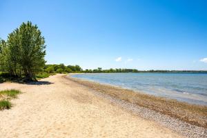 a sandy beach with trees on the side of the water at Geräumige Ferienvilla Jenny Am Strand Mit Pool in Klütz