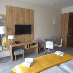 Μια τηλεόραση ή/και κέντρο ψυχαγωγίας στο Apartament 319 Czarna Góra +10 φωτογραφίες