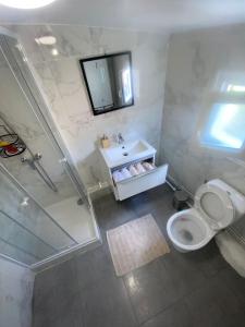 une salle de bain avec toilettes, lavabo et miroir dans l'établissement Charmante maison atypique ambiance ville village, à Deuil-la-Barre