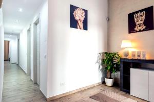 Η κουζίνα ή μικρή κουζίνα στο [The historical center of Palermo] La Dolce Vita +9 φωτογραφίες