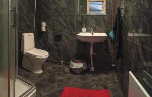 a bathroom with a toilet and a sink at Haga gård och Stall in Herräng +43 photos