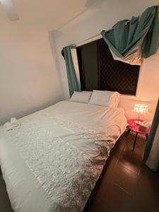 ein Bett mit Baldachin in einem Zimmer in der Unterkunft Exquisite and Classic Apartment in Brisbane