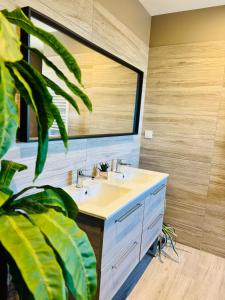 a bathroom with a sink and a mirror and a plant at Villa Palmiers 5 min de la Mer, confortable 4 Personnes, parking free, in Sérignan +39 photos