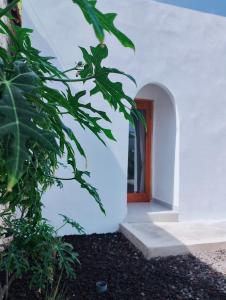 pasillo de un edificio blanco con puerta de madera en Dragonfly, en Nusa Penida