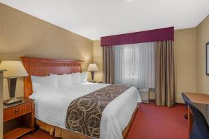 Una habitación de hotel con una cama grande y una ventana. en Best Western Plus Canyon Pines, en Ogden