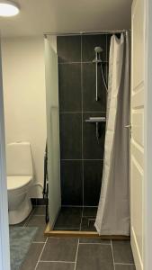 a bathroom with a shower and a toilet at Apartment in Ilulissat - by Pilu & Kaali in Ilulissat