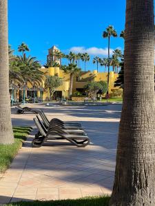 a couple of chairs sitting on a sidewalk next to a palm tree at Rony by Best Holidays Fuerteventura in Corralejo