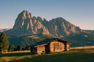 an old cabin in a field with mountains in the background at Apartments Petlin in Ortisei