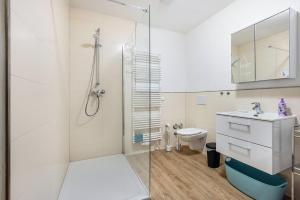 une salle de bain avec douche et toilettes dans l'établissement Apartment On The Upper Floor, à Bokelrehm 14 autres photos