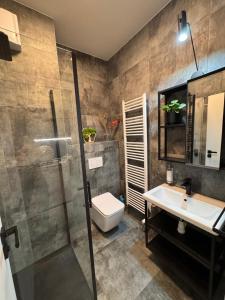 a bathroom with a shower and a toilet and a sink at Bylinkový Apartmán in Banská Bystrica +8 photos