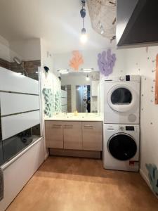 ein Badezimmer mit Waschmaschine und Waschbecken in der Unterkunft La Belle et le Nooki in Meaux