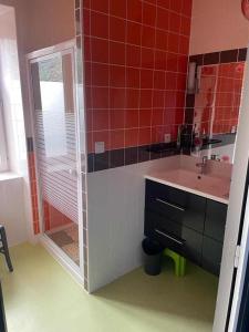 ein rot gefliestes Bad mit einem Waschbecken und einer Dusche in der Unterkunft La Saint-Mametoise in Saint-Mamet + 1 Foto