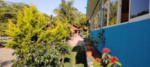 a house with trees and a blue wall at Saatvik Stay 2 - A Dormitory Stay in Kushālnagar