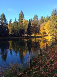 un étang au milieu d'un parc arboré dans l'établissement Ferienwohnung am Rennsteig, à Neuhaus am Rennweg