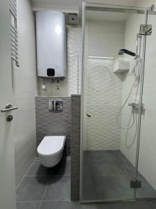 Un baño con inodoro y ducha de cristal. en Linea Apartment, en Belgrado