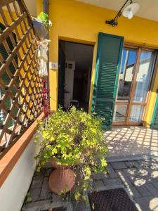 Φωτογραφία από το άλμπουμ του Casa Joy στο Αρέτσο +5 φωτογραφίες