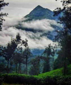 Loodusmaastik of the luxury tent lähedal +13 fotot